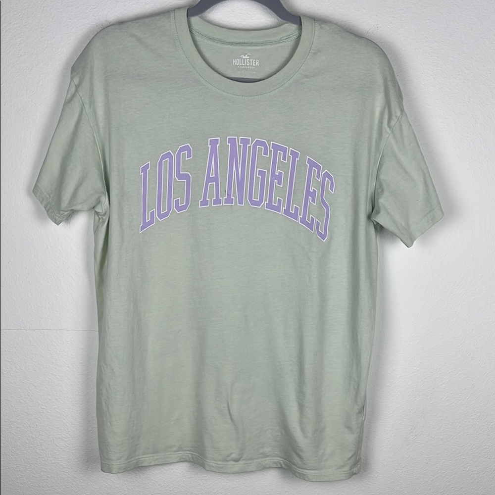 Hollister Mint Green and Purple Short Sleeve Tee